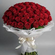 Букет 101 Красная роза Блэк Мэджик #REPLACE_PRED# Новый