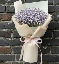 Букет цветов из:  Гипсофила в Новый