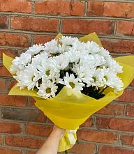 Букет цветов из:  Хризантемы #REPLACE_PRED# Новый