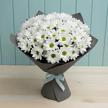 Букет цветов из:  Хризантемы в Новый