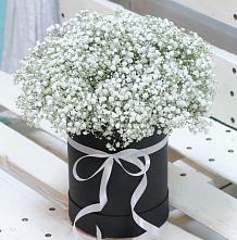 Цветочная композиция из Гипсофила в шляпной коробке #REPLACE_PRED# Новый